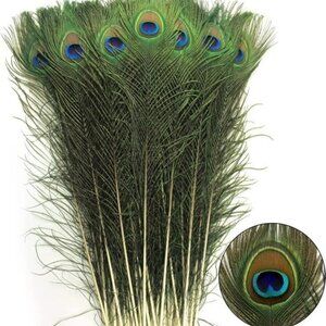 B'ful Peacock feathers - 24 pk Great on their own or use in jewellry making etc